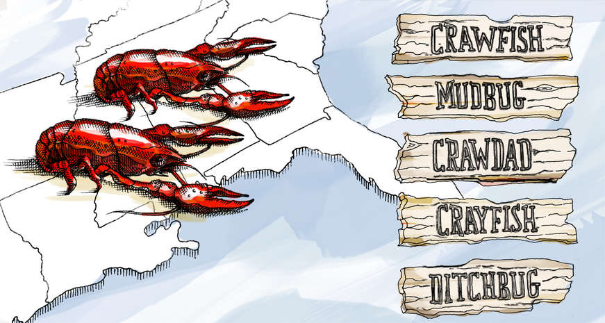 A ditchbug by any other name: Digging into the diverse culinary lexicon of crawfish