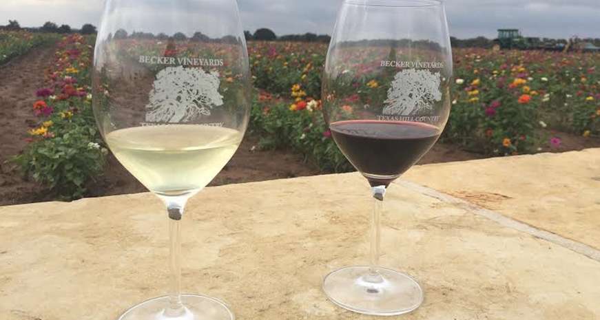 Why Texas Hill Country wineries should be on your Southern travel bucket list