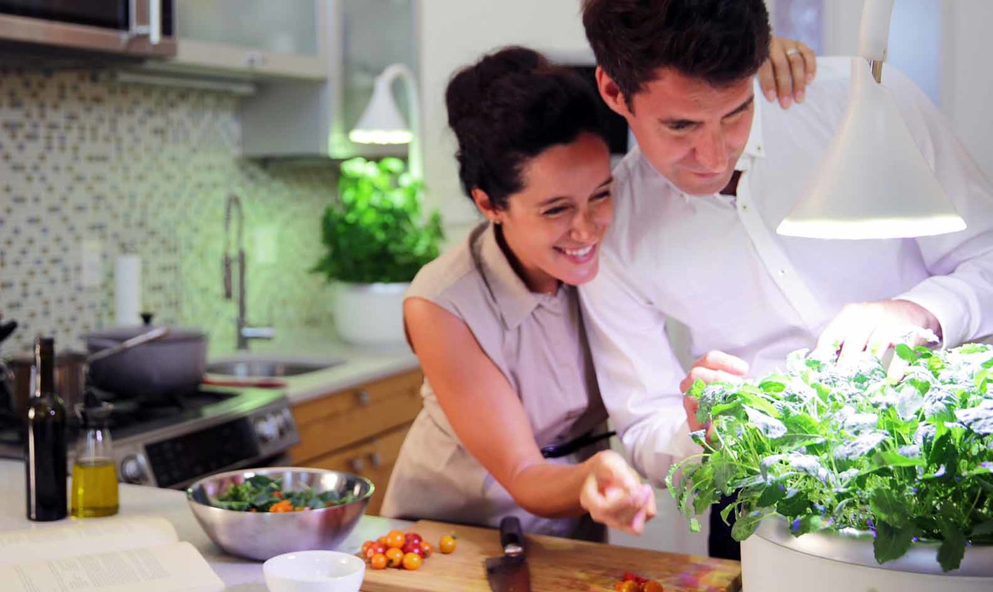 Мит создать встречу. SPROUTSIO. Home PG.