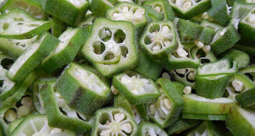 12 of the best fruits and vegetables to grow in the South