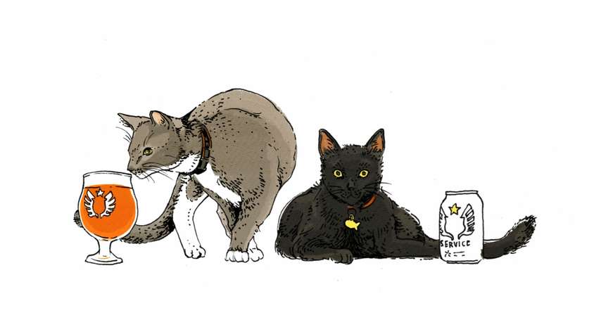 Blackhawk and Chinook cats from Service Brewing in Savannah