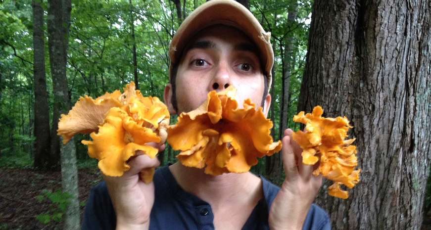 Clark Barlowe foraging wild mushrooms