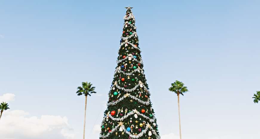 christmas in july