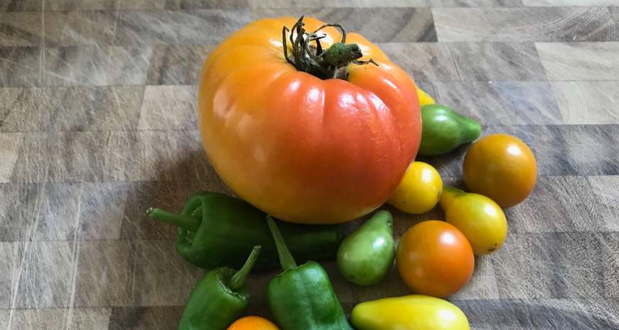 Heirloom tomatoes and peppers on board