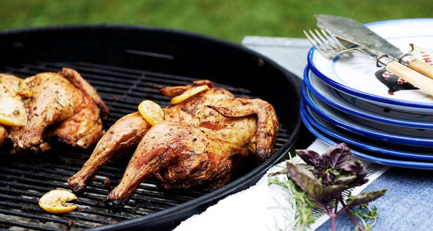 grilled chicken