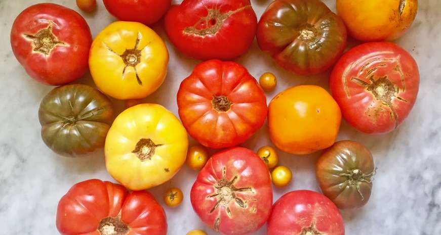 Anne Byrn's tomato haul