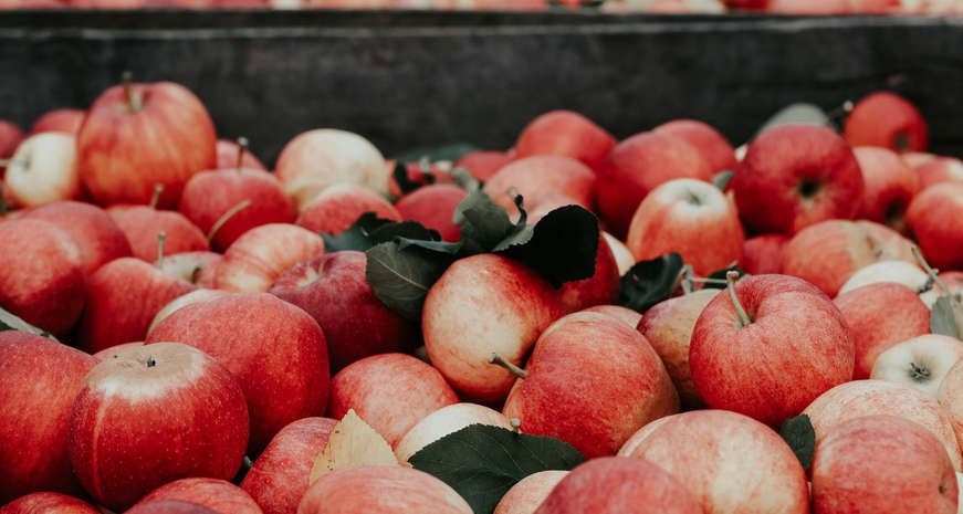 freshly picked apples