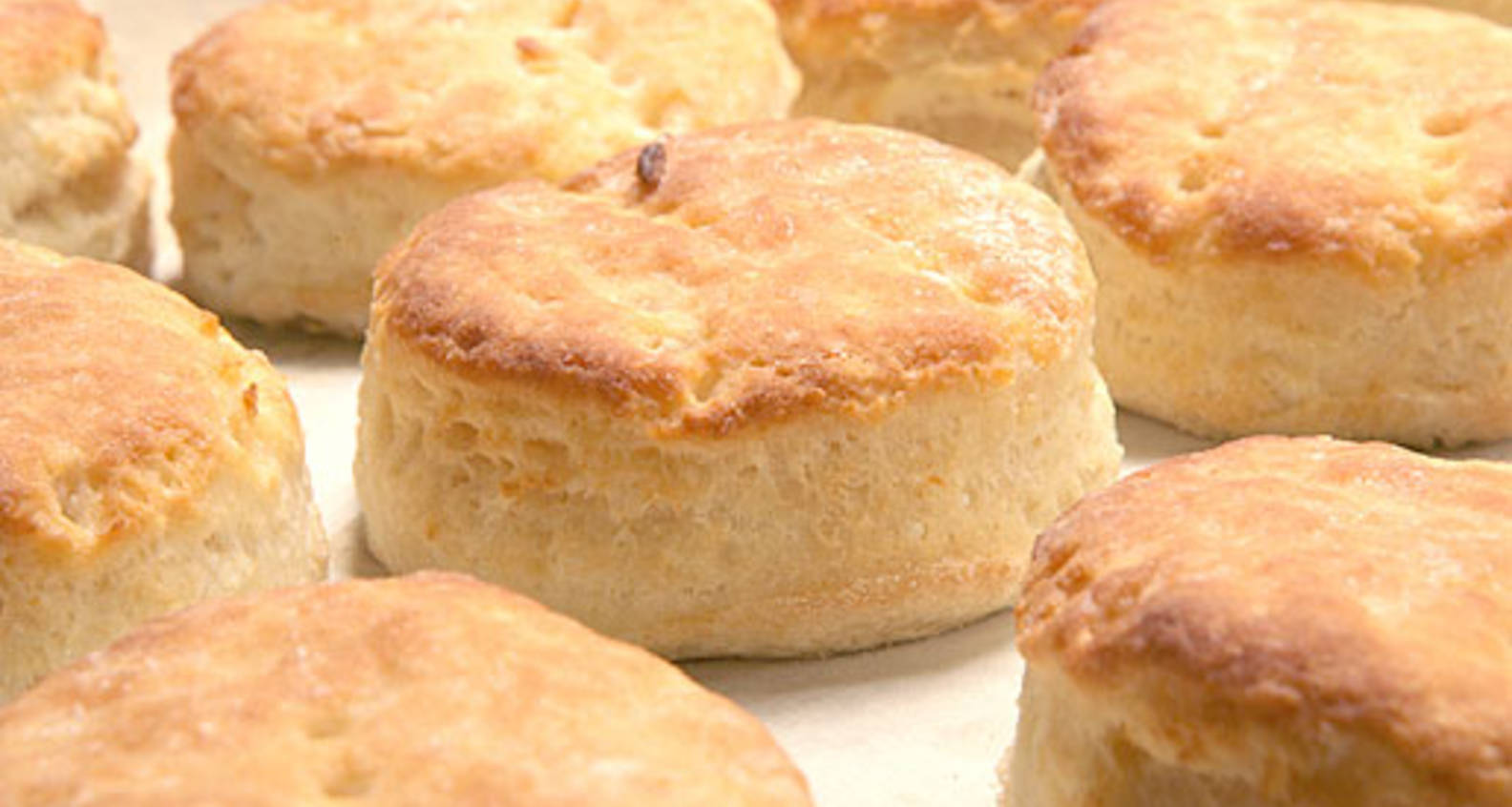 Scott Peacock's OldFashioned Southern Buttermilk Biscuits Southern Kitchen