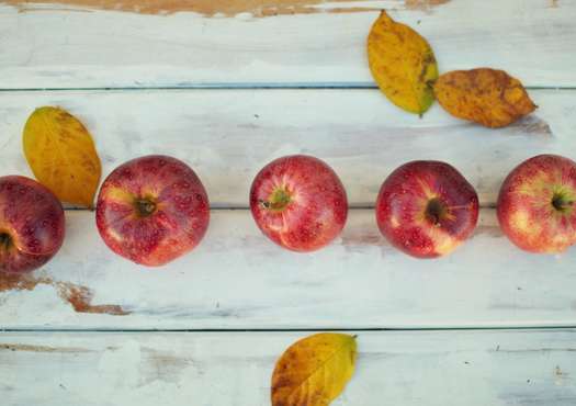 Apples in fall